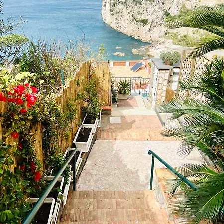 Villa Luxury - La Balena Blu *